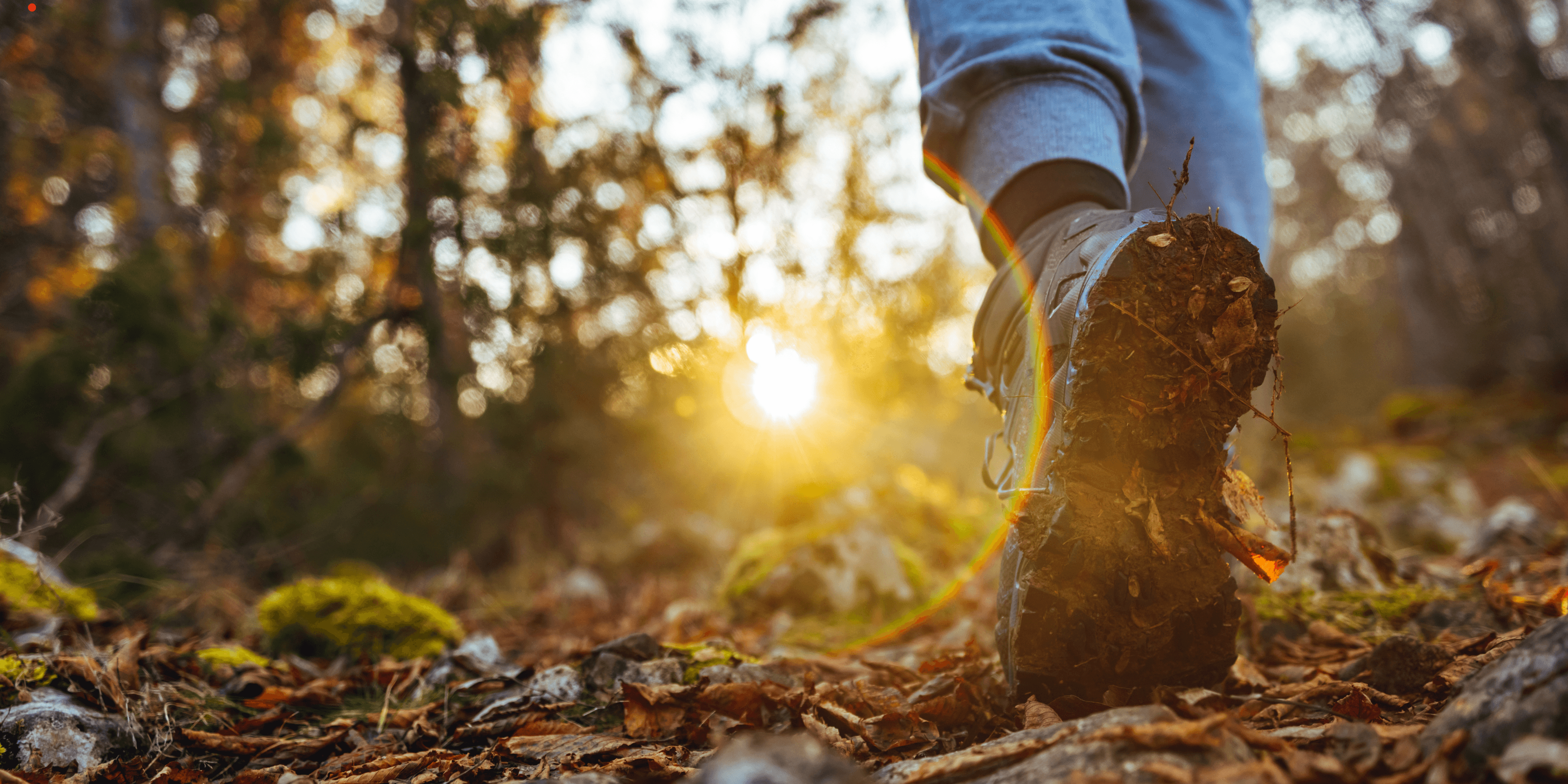 Walking & Hiking Trips background